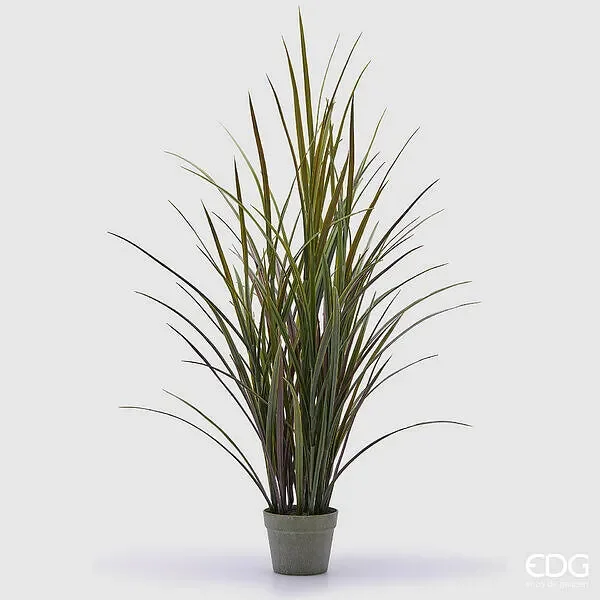 EDG Enzo De Gasperi Festuca con Vaso H 122 Cm Colore Verde