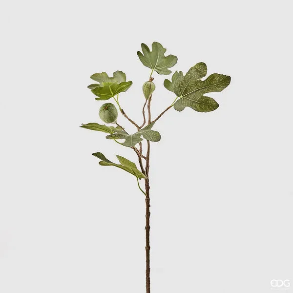 EDG Enzo De Gasperi Fico con Frutti King Ramo H64 B9 Green Moda