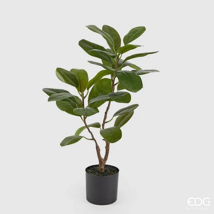 EDG Enzo De Gasperi Ficus Chic con Vaso Artificiale H 64 Cm Green