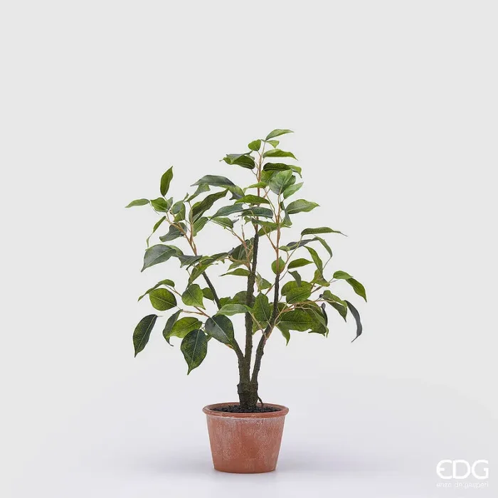 EDG Enzo De Gasperi Ficus con Vaso Artificiale H 51 Cm Green