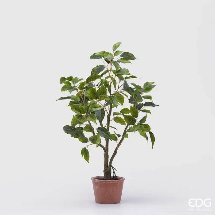 EDG Enzo De Gasperi Ficus con Vaso Artificiale H 60 Cm Green