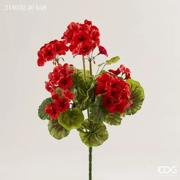 EDG Enzo De Gasperi Geranio Cespuglio H 48 Cm 7 Rami Rosso