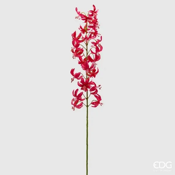 EDG Enzo De Gasperi Giglio Martagone H 105 Cm Beauty