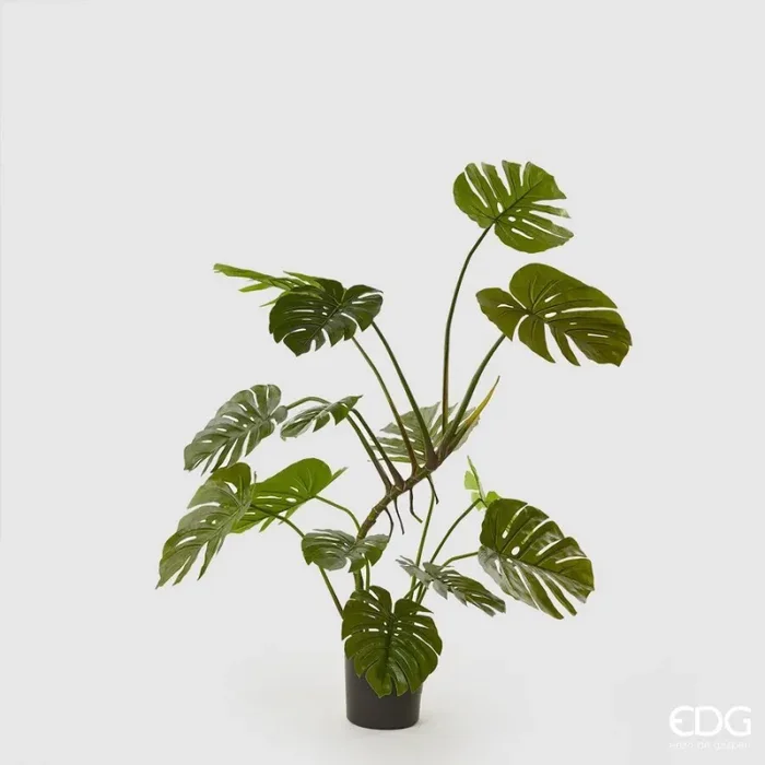 EDG Enzo De Gasperi Monstera Pianta con Vaso Artificiale H 128 Cm Green