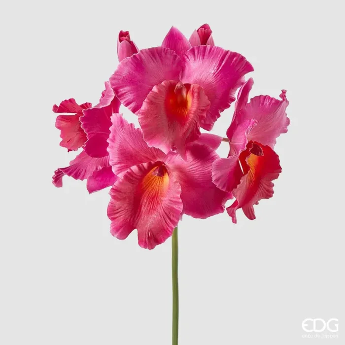 EDG Enzo De Gasperi Orchidea Cattleya Duke Ramo x4 e 2 Boccioli Artificiale H 43 Cm Fuchsia