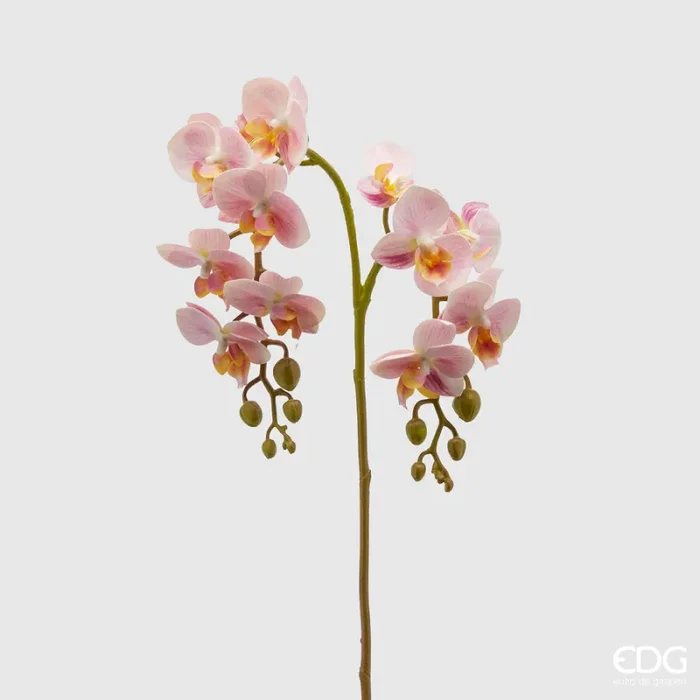EDG Enzo De Gasperi Orchidea Phalaenopsis Olis Ramo x2 Artificiale H 62 Cm Pink