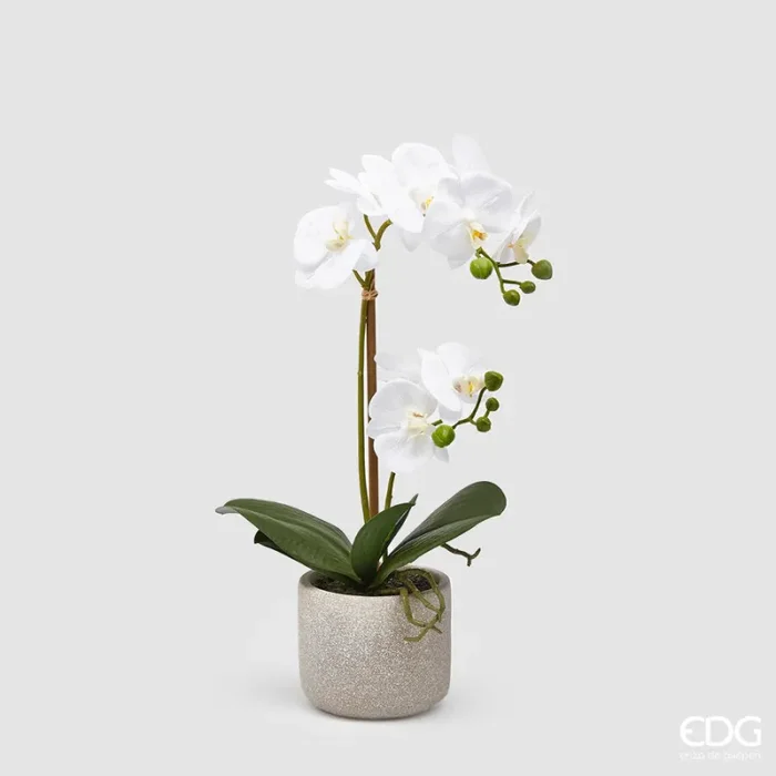 EDG Enzo De Gasperi Orchidea Phalaenopsis Pianta x2 Artificiale con Vaso H 42 Cm White