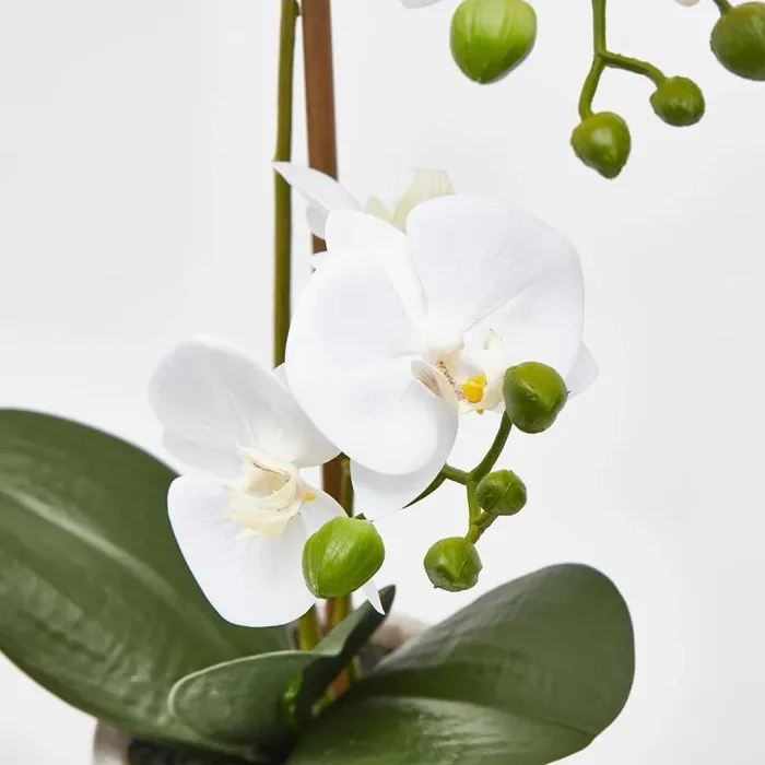 EDG Enzo De Gasperi Orchidea Phalaenopsis Pianta x2 Artificiale con Vaso H 42 Cm White - immagine 2