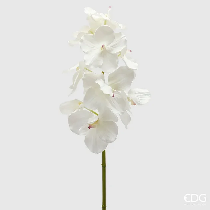 EDG Enzo De Gasperi Orchidea Vanda Ramo x9 Artificiale H 95 Cm White