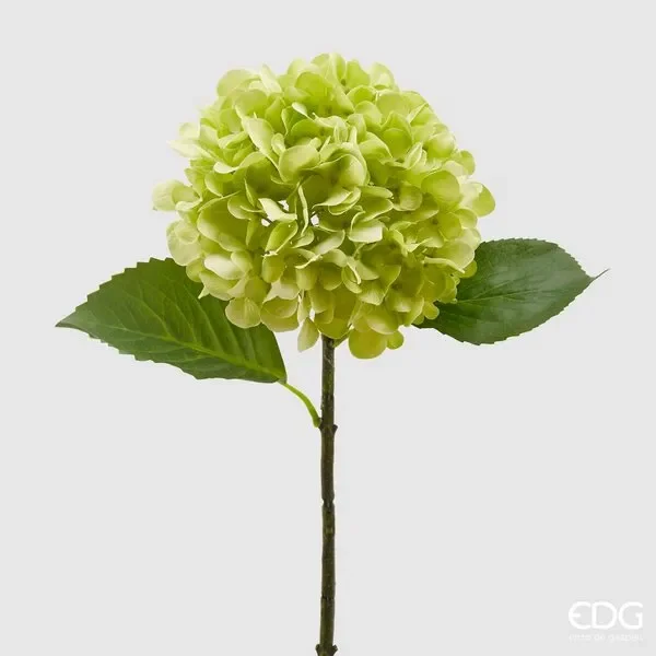 EDG Enzo De Gasperi Ortensia Olis Ramo H 48 Cm Verde Chiaro Sconti