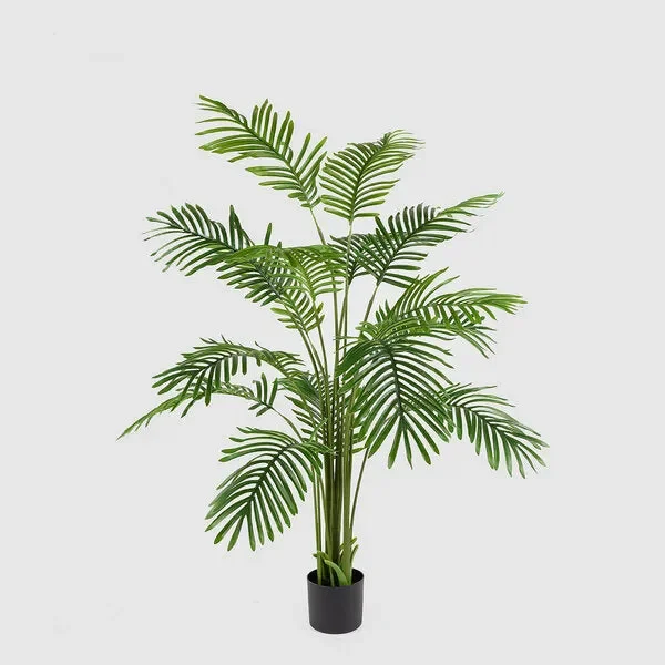 EDG Enzo De Gasperi Palma Areca C/Vaso H150 C3 Green