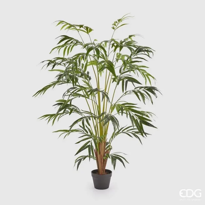 EDG Enzo De Gasperi Palma Areca con Vaso Artificiale H 150 Cm Green Vendita online