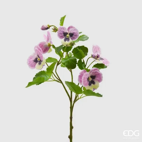 EDG Enzo De Gasperi Panse Bell 3 Rami H 45 Cm Rosa Crema