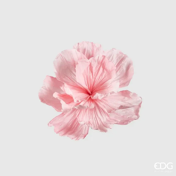 EDG Enzo De Gasperi Peonia Jumbo da Appendere H 60 Cm D 80 Cm Light Pink
