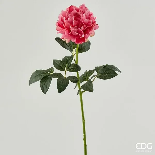 EDG Enzo De Gasperi Peonia Real Ramo H72 B7 Fuchsia