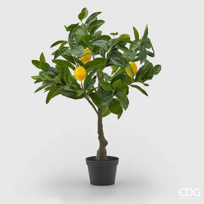 EDG Enzo De Gasperi Pianta Artificiale di Limoni Bell con Vaso Pvc H 70 Cm Giallo Verde