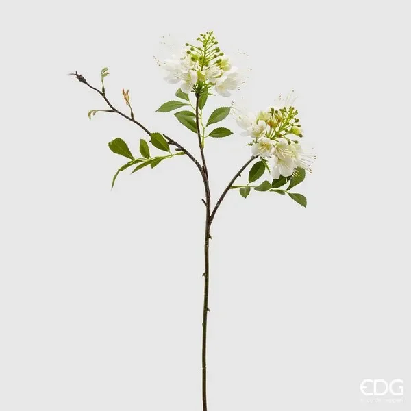 EDG Enzo De Gasperi Prunus Olis Ramo Fiorito H 66 Cm Bianco