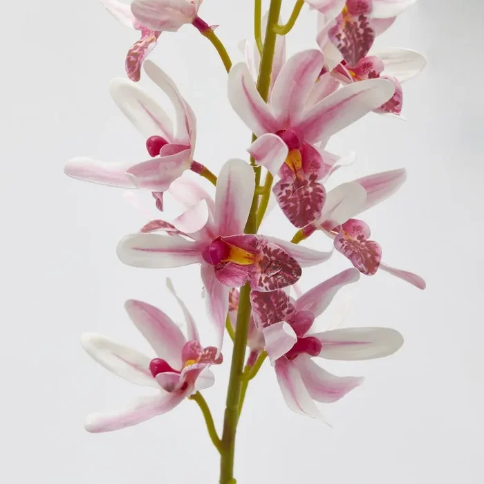 EDG Enzo De Gasperi Ramo Orchidea Cymbidium Artificiale H 70 Cm Ass. Two Tone Pink 1 Pz - immagine 2