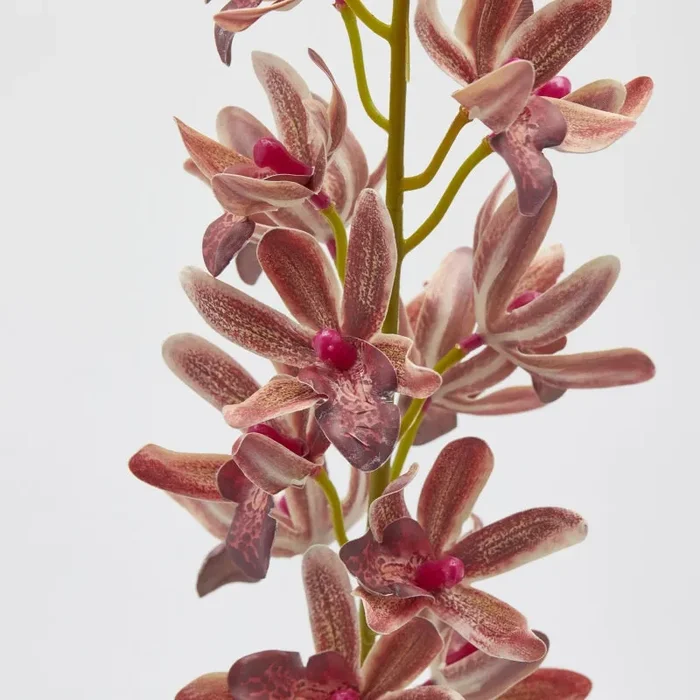 EDG Enzo De Gasperi Ramo Orchidea Cymbidium Artificiale H 70 Cm Ass. Two Tone Pink 1 Pz - immagine 3