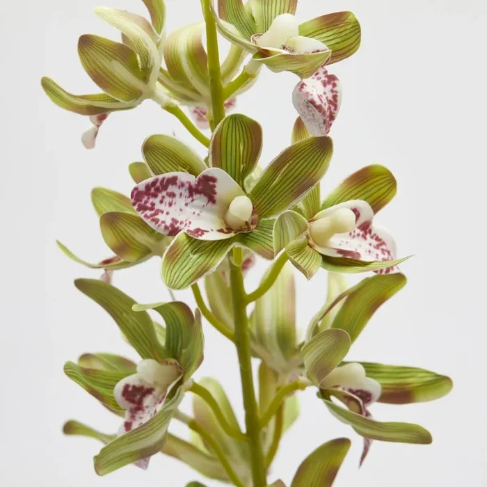 EDG Enzo De Gasperi Ramo Orchidea Cymbidium Artificiale H 70 Cm Ass. Yellow Green 1 Pz Saldi - immagine 2