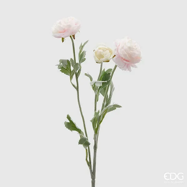 EDG Enzo De Gasperi Ranuncolo 3 Rami con Foglie H 50 Cm Colore Rosa Chiaro