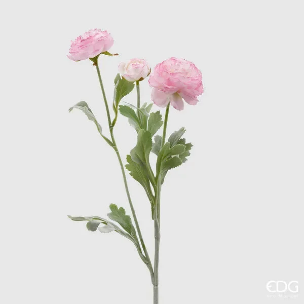 EDG Enzo De Gasperi Ranuncolo 3 Rami con Foglie H 50 Cm Colore Rosa