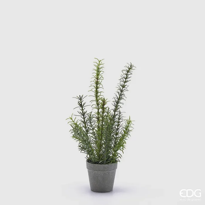 EDG Enzo De Gasperi Rosmarino con Vaso Artificiale H 38 Cm Green