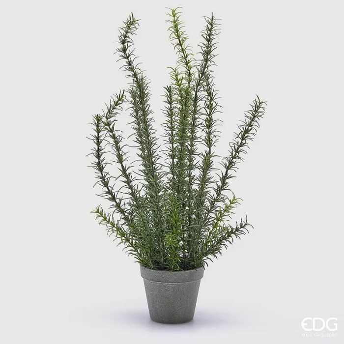 EDG Enzo De Gasperi Rosmarino con Vaso Artificiale H 58 Cm Green