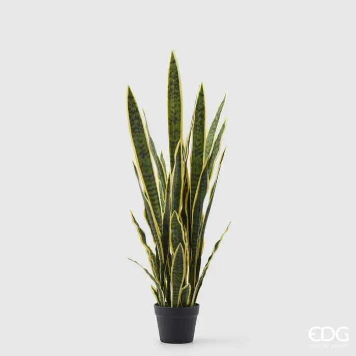 EDG Enzo De Gasperi Sanseveria West con Vaso Artificiale H 105 Cm Yellow Green Saldi