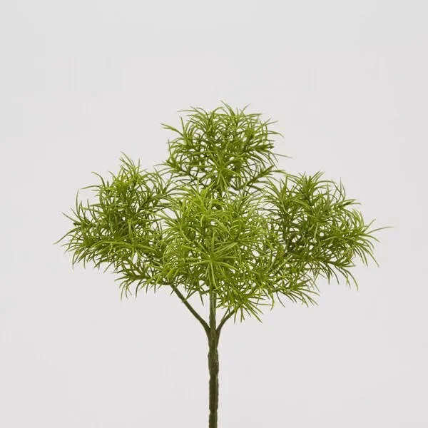 EDG Enzo De Gasperi Tillandsia Bell Pick H30 C0 Green