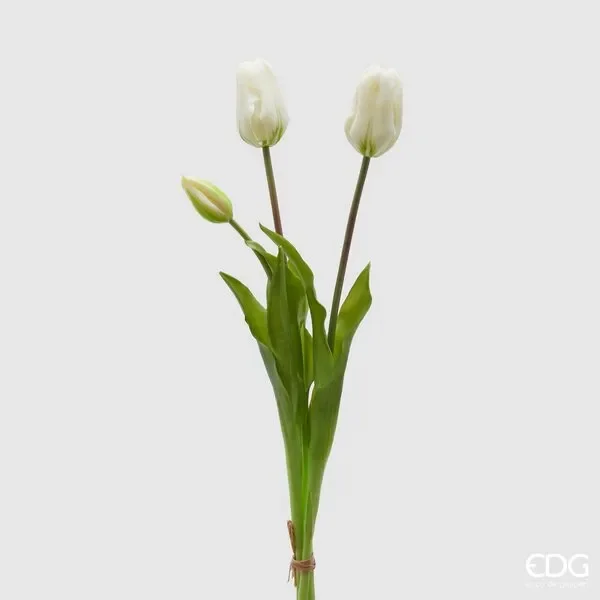 EDG Enzo De Gasperi Tulipano Gommato Olis 3 Rami H 48 Cm Bianco 1 Cf