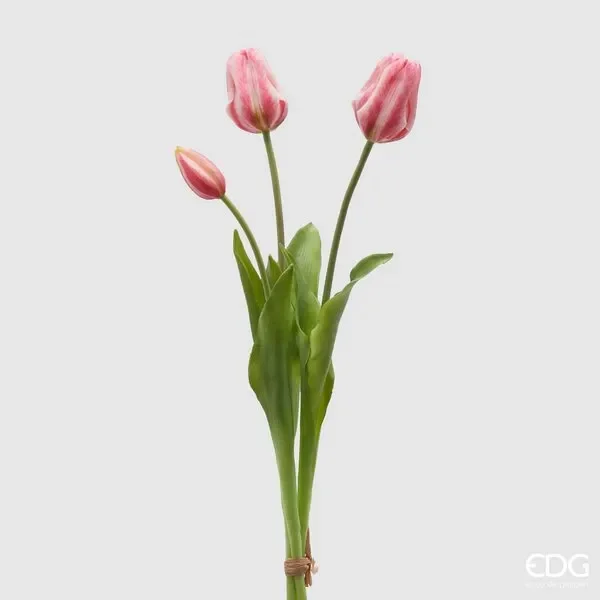 EDG Enzo De Gasperi Tulipano Gommato Olis 3 Rami H 48 Cm Rosa Crema 1 Cf