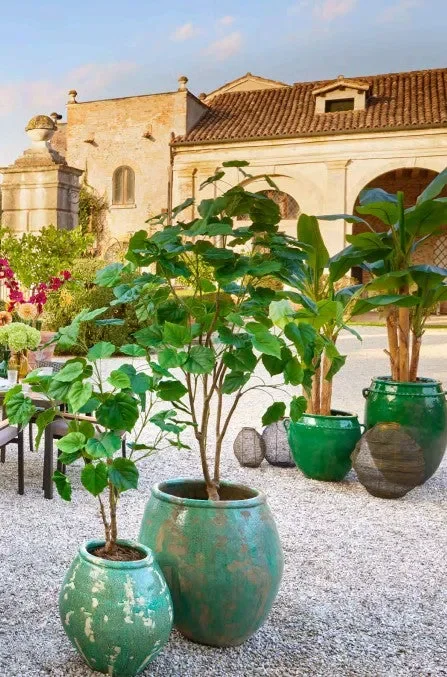 EDG Enzo De Gasperi Vaso Fenice Bombato H 51 Cm D 46 Cm Green Waterproof - immagine 3