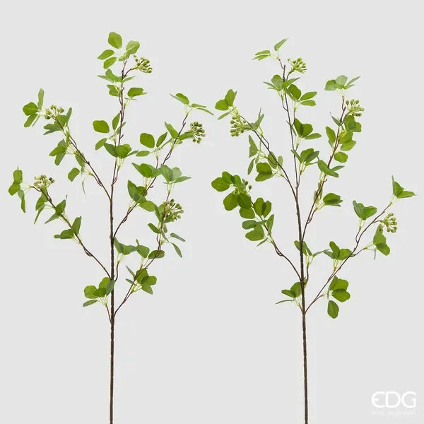 EDG Enzo De Gasperi Viburno Ramo 5 Ramificazioni con Bacche H 90 Cm Verde 1 Pz Sconti