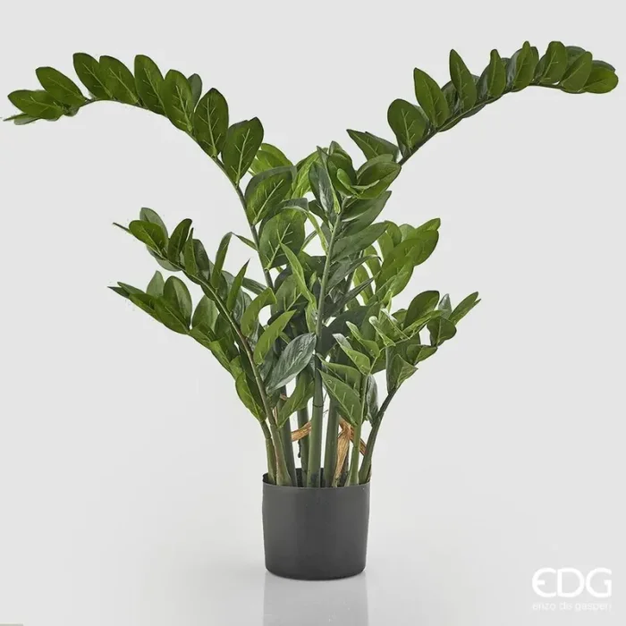 EDG Enzo De Gasperi Zamifolia 15 Rami con Vaso H 130 Cm Green