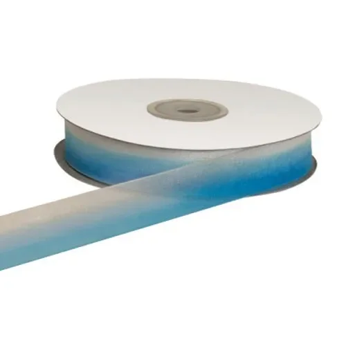ETM Nastro Organza Bicolore 20 Mm 50 Mt Blue Bianco