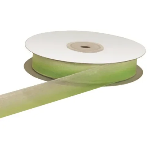 ETM Nastro Organza Bicolore 20 Mm 50 Mt Verde Bianco