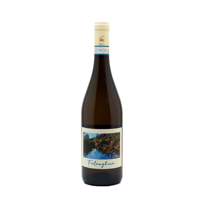 Falanghina del Sannio DOC 2022 – Vigne Di Malies