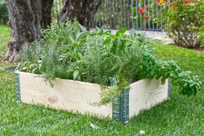 Fioriera da Giardino 80x120xH20 cm in Legno di Pino Grezzo - immagine 3