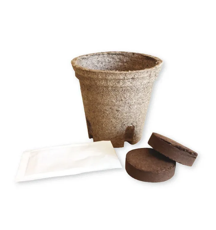 Kit di Semina Biologico POMODORINI - immagine 2