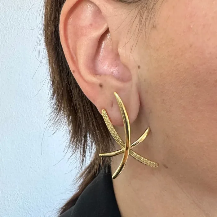 Orecchini Asterix Fornitura