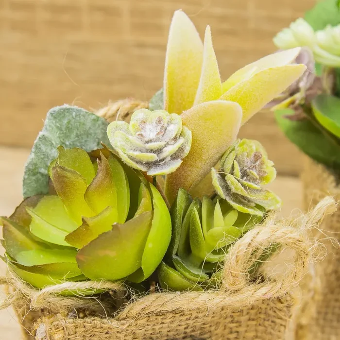 Sacchetto Iuta, Mattoncino con Frase e Piantina - immagine 3