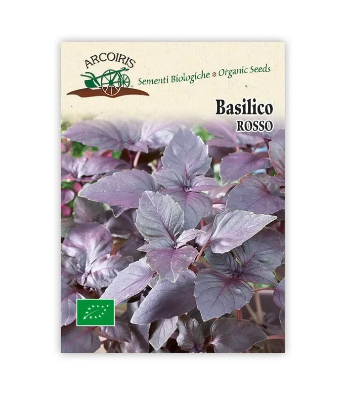 Semi da orto bio – Basilico Rosso