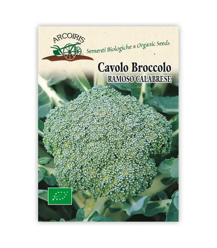 Semi da orto bio – Cavolo broccolo ramoso calabrese