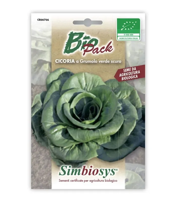 Semi da orto bio – Cicoria a grumolo verde scuro