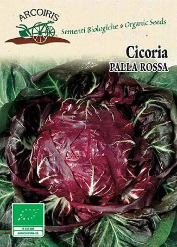 Semi da orto bio – Cicoria Rossa a palla 3