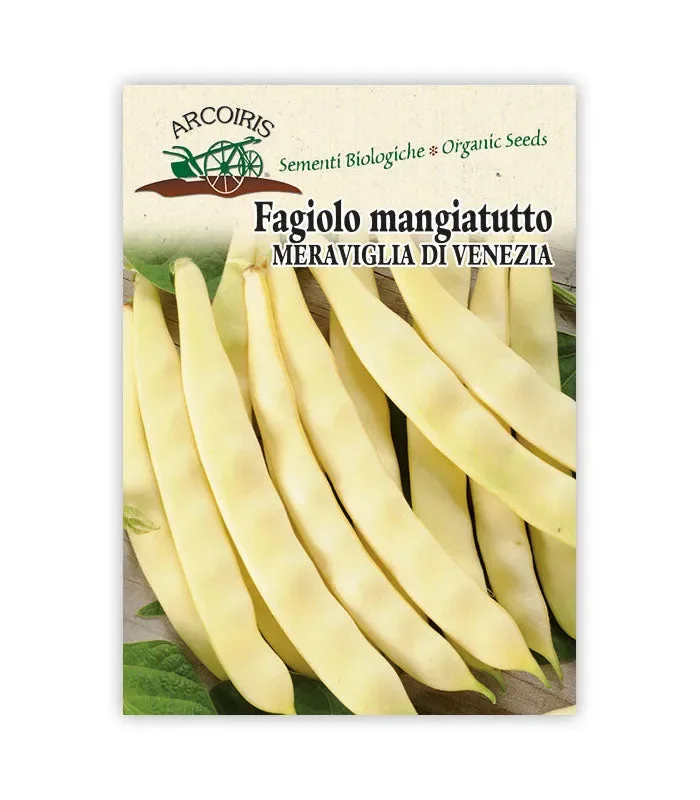 Semi da orto bio – Fagiolo Mangiatutto Meraviglia di Venezia