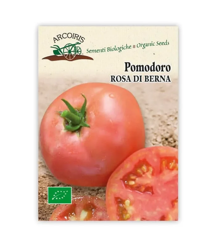 Semi da orto bio – Pomodoro Rosa di Berna Moda