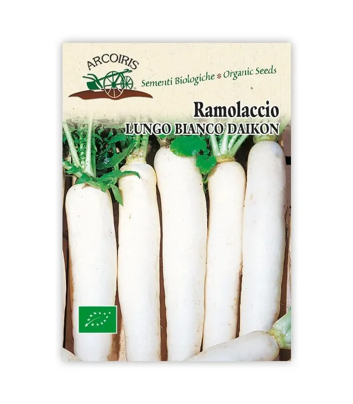 Semi da orto bio – Ramolaccio Lungo bianco