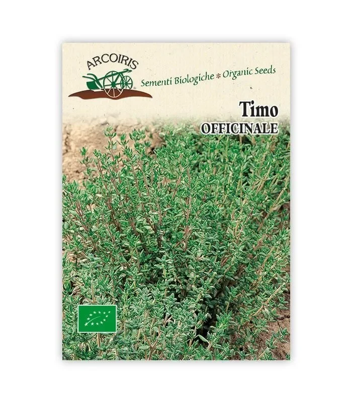Semi da orto bio – Timo Officinale